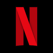 Netflix logins for 6 months